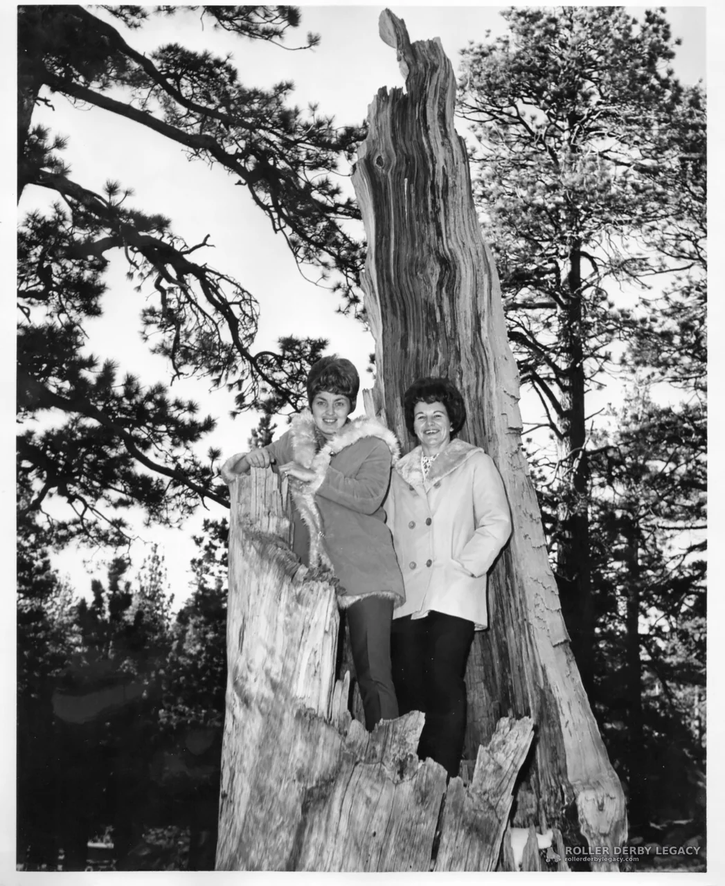 Two Women Posing in a Weathered Tree Stump